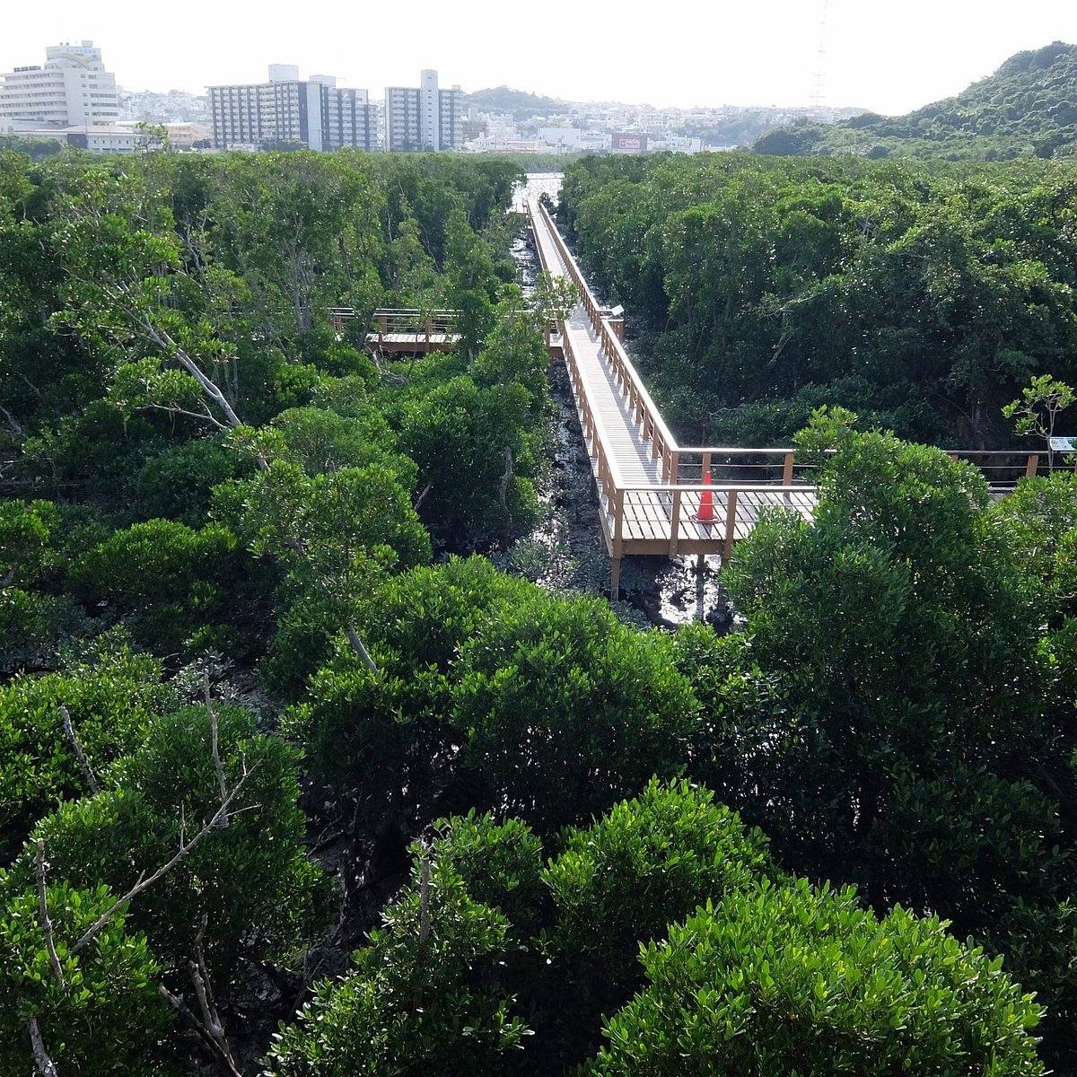 🌳 오노야마 공원(오우노야마 코엔) 이미지 8